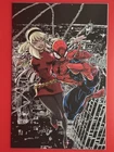 The Amazing Spider-Man #30 Kaare Andrews Virgin Variant Gwen Stacey NM