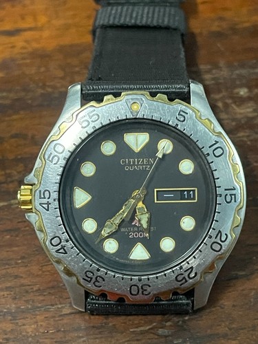 citizen promaster diver 200m