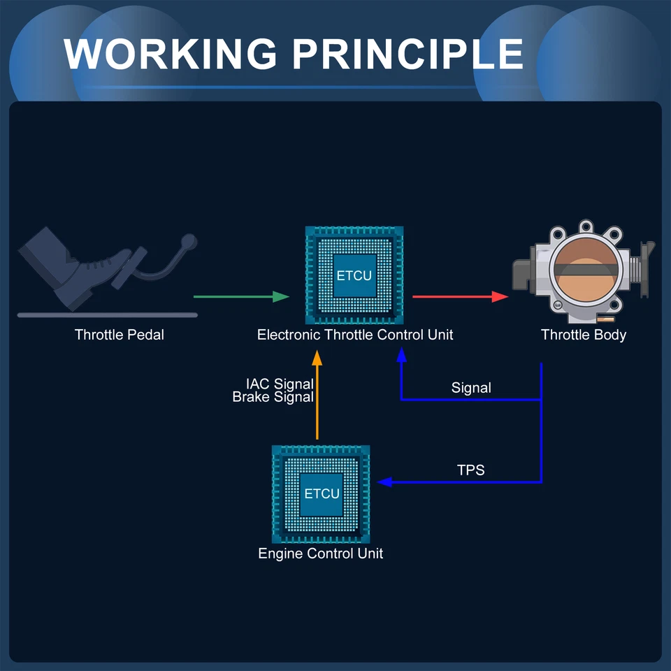 No.5184349AB/5184349AC/5184349AD carrocería del acelerador individual personalizada para Dodge Avenger Foto 3 de 4