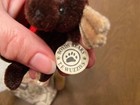 Boyds Bears Wuzzies Moose - Talbot F. Wuzzie — photo 10