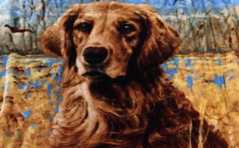 Golden retriever hotsell plush blanket