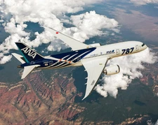 ANA ALL NIPPON AIRWAYS BOEING 787-8 DREAMLINER 8x10 GLOSSY PHOTO PRINT