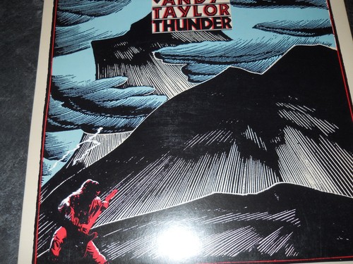 DURAN DURAN Andy Taylor THUNDER Vinyl LP Used VG+