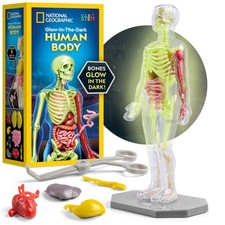 National Geographic Human Body Model for Kids That Glows in The Dark - 32-Pie...