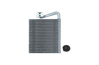 Verdampfer Klimaanlage Kamoka 7770013 FÜR Renault Klimaverdampfer