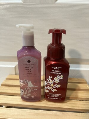 Lot Of 2 Bath & Body Works Foaming &Cleansing Gel Hand Soaps Cranberry Berry Ice