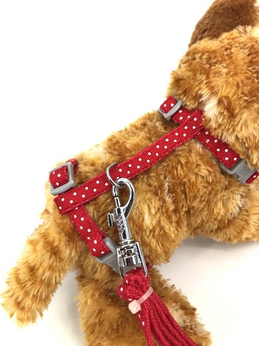 Small Pet Adjustable Harness & Leash, Safety Walking Lead (Red Polka Dot) - Picture 3 of 5