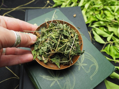Herbs, Spices & Resins for Incense & Spell Making - Wicca, Pagan, Witchcraft - Picture 38 of 352