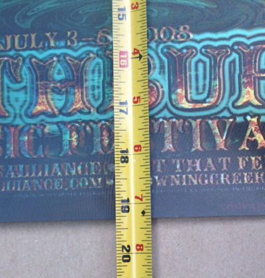 2008 ROTHBURY MUSIC FESTIVAL CONCERT POSTER ART 12X19 3D