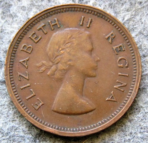 SOUTH AFRICA ELIZABETH II 1955 1/4 PENNY, CAPE SPARROWS ON ACACIA BRANCH - Picture 2 of 6