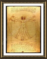 The Vitruvian Man by Leonardo Da Vinci | Framed canvas | Wall art artwork HD
