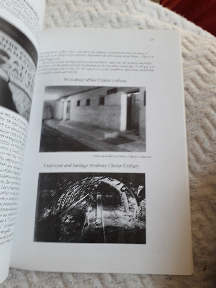 Bild 5 von 8