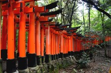 20258  Japan 2015 Digital Photo