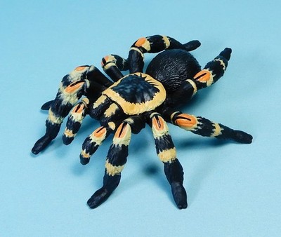 Kaiyodo Capsule Q Museum Venomous animal Mexican redknee tarantula mini figure