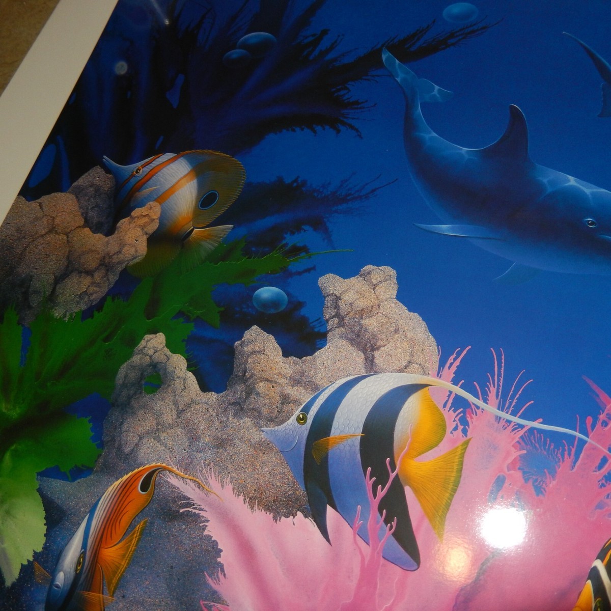 Signed Numbered DAVID MILLER Limited Edition VIVID SPLENDOR 38