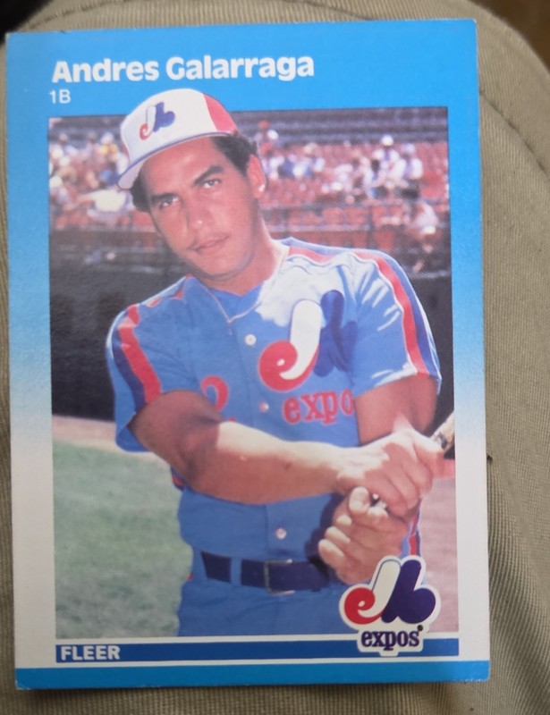 1987 Fleer - Andres Galarraga #319