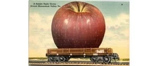 1930s Shenandoah Apple Train Linen Postcard: Tichnor Bros Valley Ag VA Fruit
