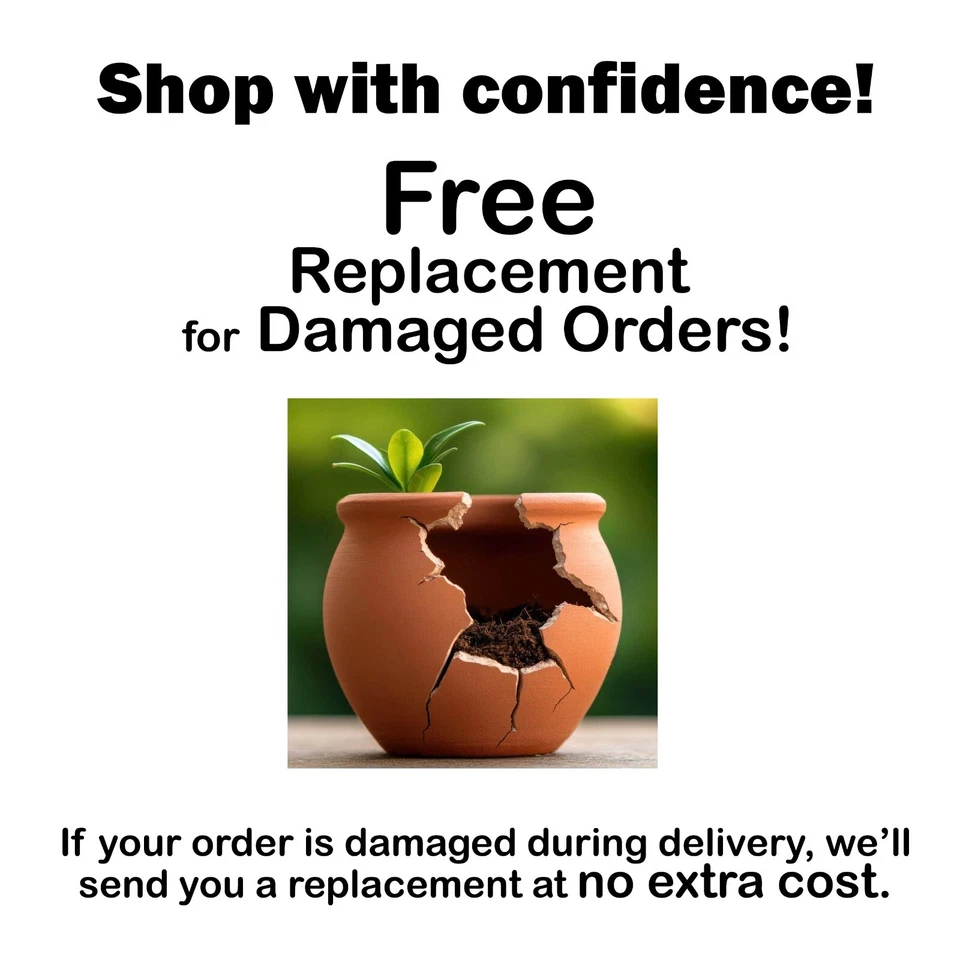 Asian Art Printed Ceramic Clay Picture Tile , Sigiriya Realistic Home Decor - Image 3 of 4