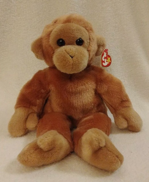 ty bongo monkey
