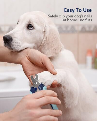 Cortauñas para mascotas y lima de uñas para perros y gatos - Imagen 5 de 6