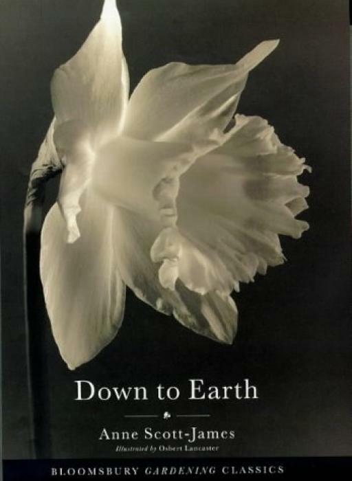 Down to Earth - Anne Scott-James - Bloomsbury - Good - Hardcover