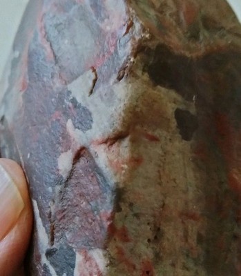An amazing Prehistoric Paleo-American, petrified wood, sculpture, multi tool.