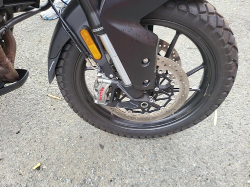Triumph Tiger 900 GT Pro - Picture 10 of 13