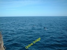 Photo 6x4 Basking Sharks, Padstow Bay New Polzeath Taken whilst on a boat c2005