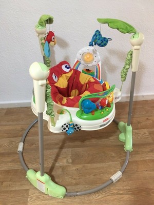 rainforest baby bouncer