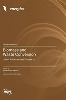 Biomass And Waste Conversion | Buch | Englisch (2024) | Mdpi AG