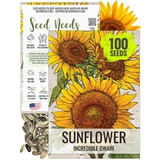 Incredible Dwarf Sunflower Seeds For Planting (Helianthus annuus)