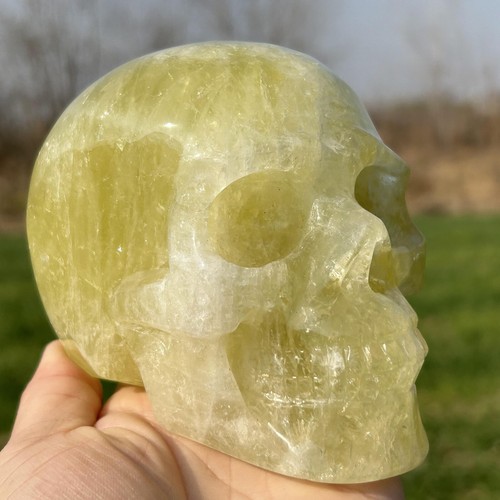 2.66LB Natural Smokey citrine Quartz Skull Hand Carved Quartz Crystal Skull heal - 第 2/18 張圖片