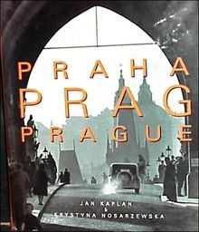 Prag. Das turbulente Jahrhundert von Kaplan, Jan, N... | Buch | Zustand sehr gut