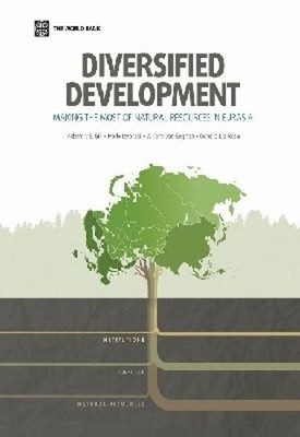 Indermit S. Gill Diversified Development BOOK NEW