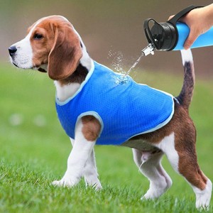 cool vests for dogs