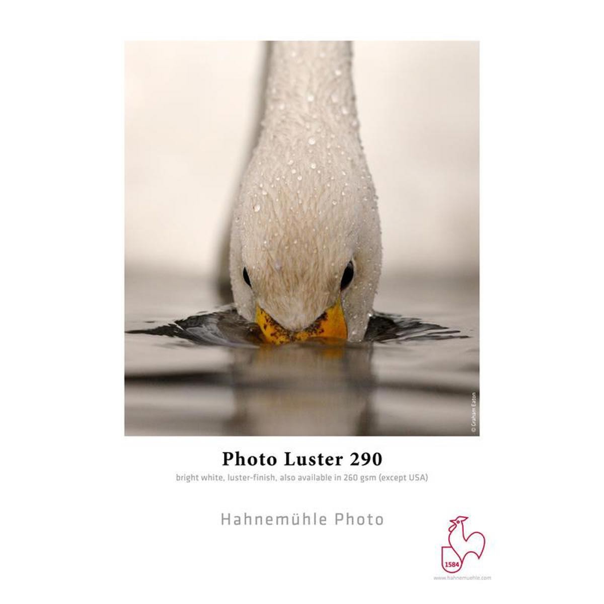 Hahnemuhle Photo Luster 290 Inkjet Paper 11x17 25 Sheets 11990₽