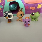 Vintage 2007 Littlest Pet Shop Clubhouse Playset Purple With Pets — photo 2