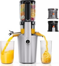 Cold Press Juicer, Extra Large Feed Chute Slow Masticating Juicer, 250W ...