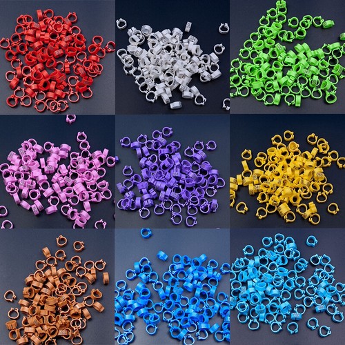 Pigeon Parrot Leg Bands For Poultry Clip Rings 100pcs Bird Rings - Picture 4 of 17