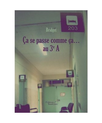 Ca se passe comme ca... au troisième a, Bridget