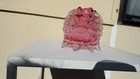 Bild 8 von 15