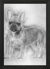 Bulldog francese cucciolo 5 mesi con cornice poster arte da parete quadro stampa su tela