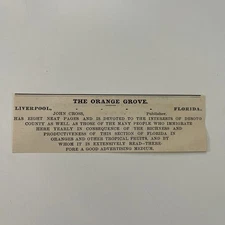 The Orange Grove John Cross Liverpool FL 1890 Newspaper Ad SAI9-M12