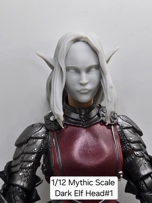 3d Printed DARK ELF FEMALE HEAD#1 Mythic Legions 1/12 Scale 2.0