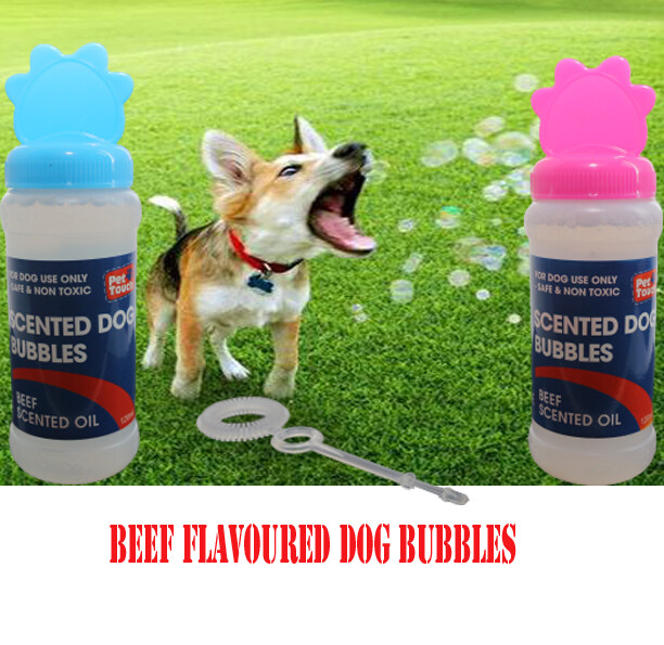 dog frisbees for sale