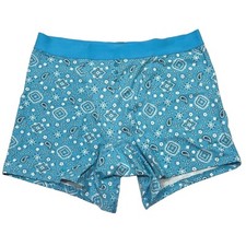 NWT AERIE Boyshort Pantie/Underwear Sz M-L-XL Blue White