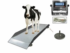 Selleton SL-929 Livestock & Cattle Alleyway Stainless Steel Scale 5000 Lbs X 1Lb