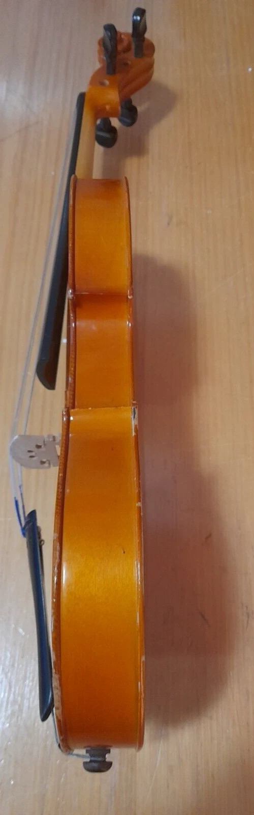 Picture 5 of 14