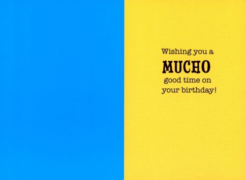 Funny BIRTHDAY Card, Cute Chihuahua Dog Sombrero Fiesta by American Greetings +✉ - Picture 2 of 5