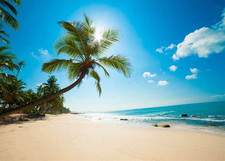 7X5Ft Fabric Tropical Beach Backdrop Background Summer Seaside Sand Beach Palm T